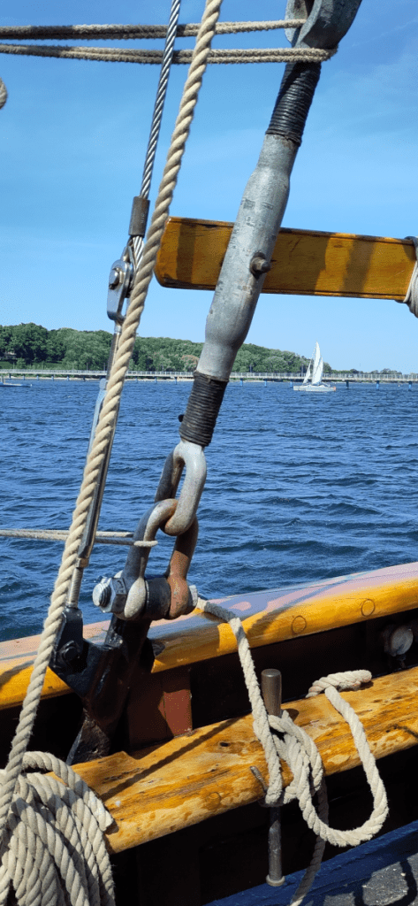 Impressionen Segelschiff Albatros