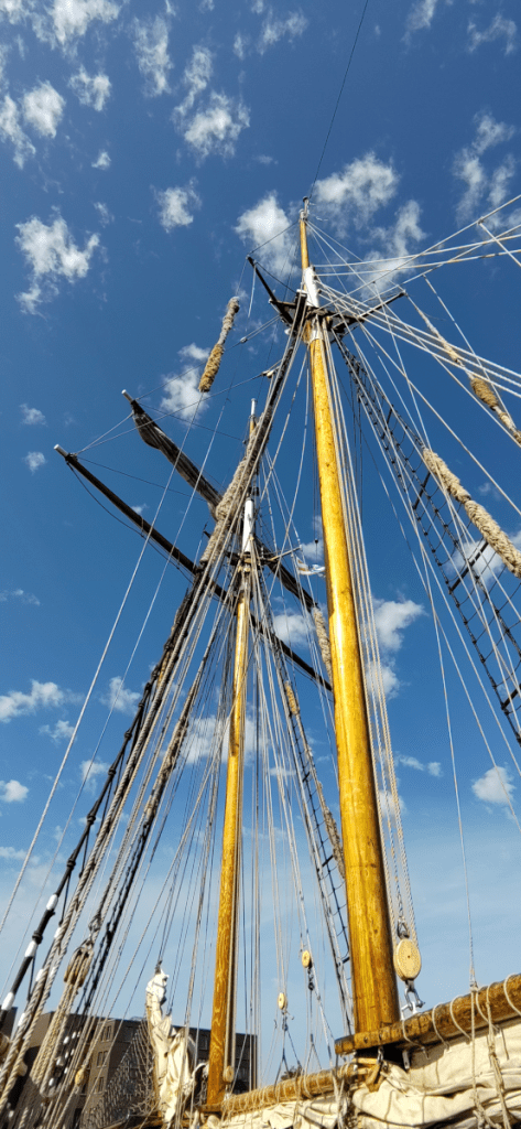 Impressionen Segelschiff Albatros